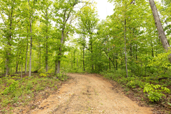 property photo for Stardust Estates Tract 32, 8.01 acres for sale in Reynolds County, Missouri