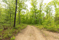 property photo for Stardust Estates Tract 32, 8.01 acres for sale in Reynolds County, Missouri