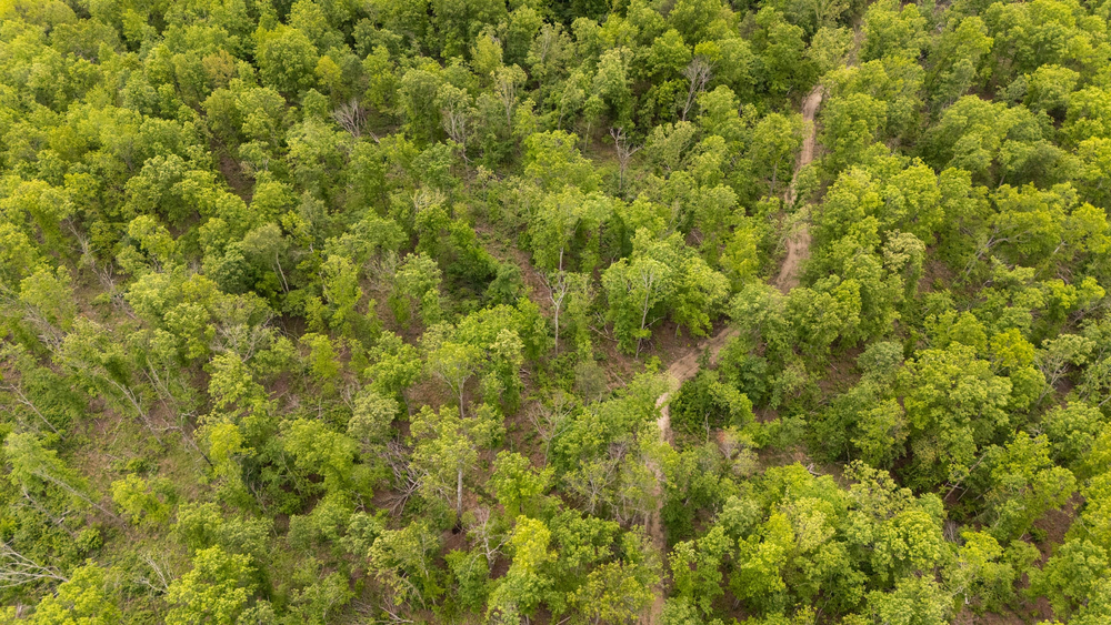 8.01 acre rural land tract for sale at Stardust Estates Tract 32 in Reynolds County, Missouri