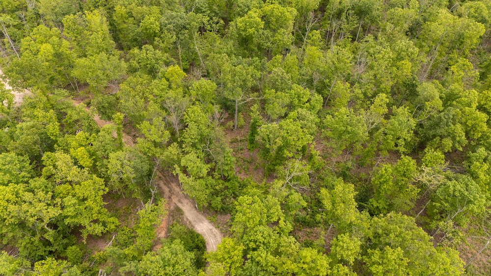 6.45 acre rural land tract for sale at Stardust Estates Tract 33 in Reynolds County, Missouri