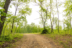 property photo for Stardust Estates Tract 34, 7.4 acres for sale in Reynolds County, Missouri