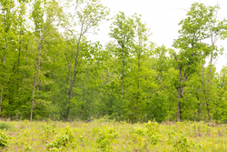 property photo for Stardust Estates Tract 34, 7.4 acres for sale in Reynolds County, Missouri