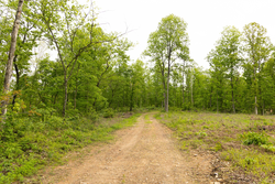 property photo for Stardust Estates Tract 34, 7.4 acres for sale in Reynolds County, Missouri