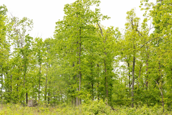 property photo for Stardust Estates Tract 34, 7.4 acres for sale in Reynolds County, Missouri