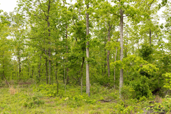 property photo for Stardust Estates Tract 34, 7.4 acres for sale in Reynolds County, Missouri