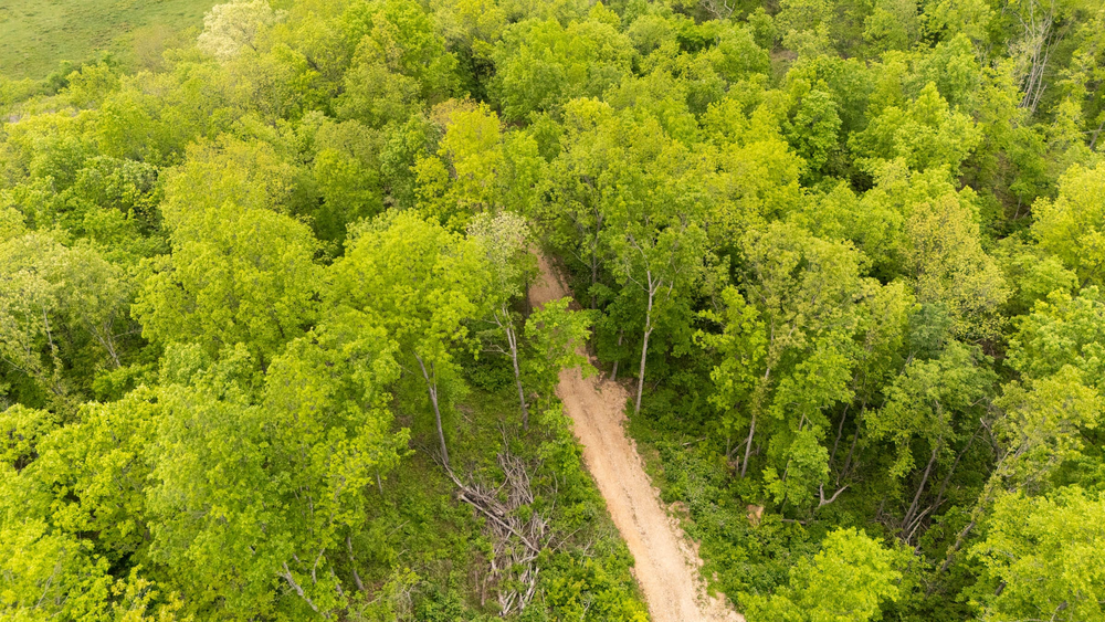 7.4 acre rural land tract for sale at Stardust Estates Tract 34 in Reynolds County, Missouri