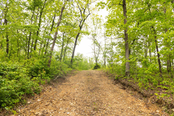 property photo for Stardust Estates Tract 35, 5.45 acres for sale in Reynolds County, Missouri