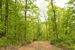 property photo for Stardust Estates Tract 35, 5.45 acres for sale in Reynolds County, Missouri