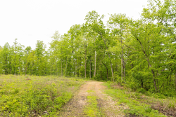 property photo for Stardust Estates Tract 35, 5.45 acres for sale in Reynolds County, Missouri