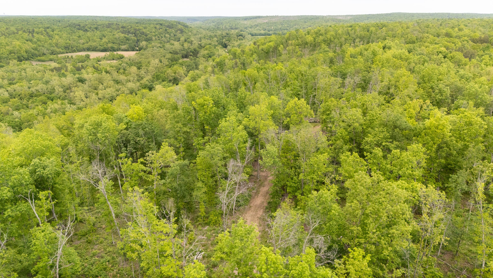 6.12 acre rural land tract for sale at Stardust Estates Tract 36 in Reynolds County, Missouri