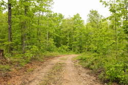 property photo for Stardust Estates Tract 37, 8.13 acres for sale in Reynolds County, Missouri