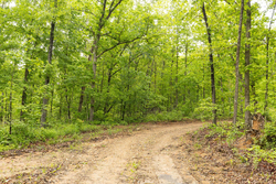 property photo for Stardust Estates Tract 37, 8.13 acres for sale in Reynolds County, Missouri