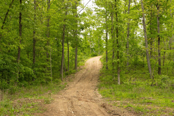 property photo for Stardust Estates Tract 5, 5.62 acres for sale in Reynolds County, Missouri