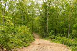 property photo for Stardust Estates Tract 5, 5.62 acres for sale in Reynolds County, Missouri