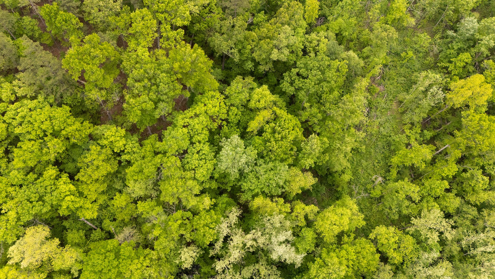 5.62 acre rural land tract for sale at Stardust Estates Tract 5 in Reynolds County, Missouri