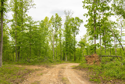 property photo for Stardust Estates Tract 6, 6.43 acres for sale in Reynolds County, Missouri