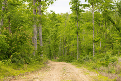 property photo for Stardust Estates Tract 6, 6.43 acres for sale in Reynolds County, Missouri
