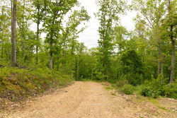 property photo for Stardust Estates Tract 6, 6.43 acres for sale in Reynolds County, Missouri
