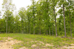 property photo for Stardust Estates Tract 6, 6.43 acres for sale in Reynolds County, Missouri