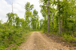 property photo for Stardust Estates Tract 6, 6.43 acres for sale in Reynolds County, Missouri