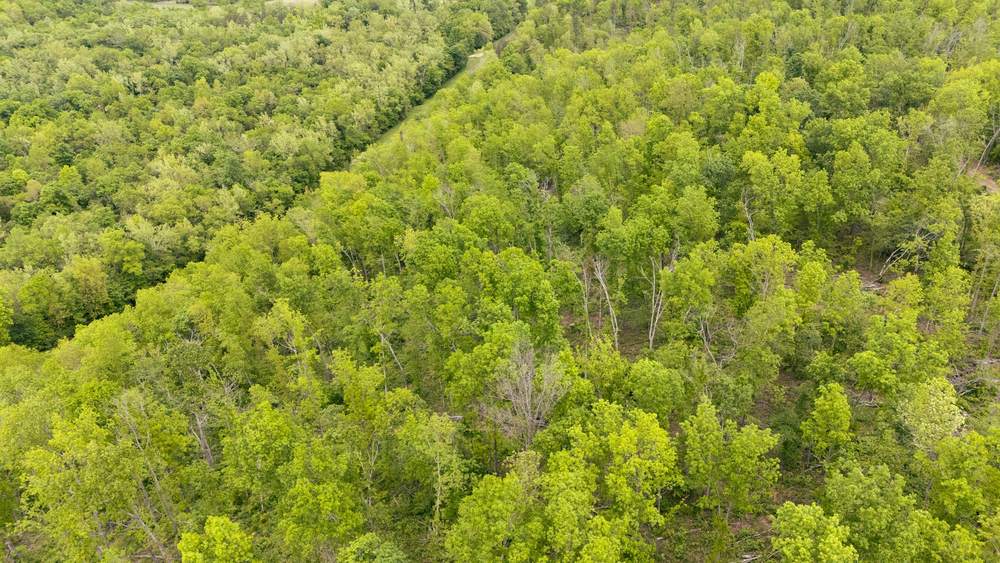 6.43 acre rural land tract for sale at Stardust Estates Tract 6 in Reynolds County, Missouri