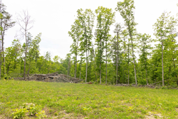 property photo for Stardust Estates Tract 7, 6.88 acres for sale in Reynolds County, Missouri