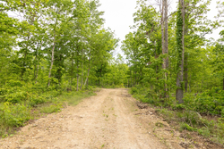 property photo for Stardust Estates Tract 7, 6.88 acres for sale in Reynolds County, Missouri