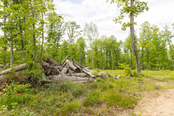property photo for Stardust Estates Tract 7, 6.88 acres for sale in Reynolds County, Missouri