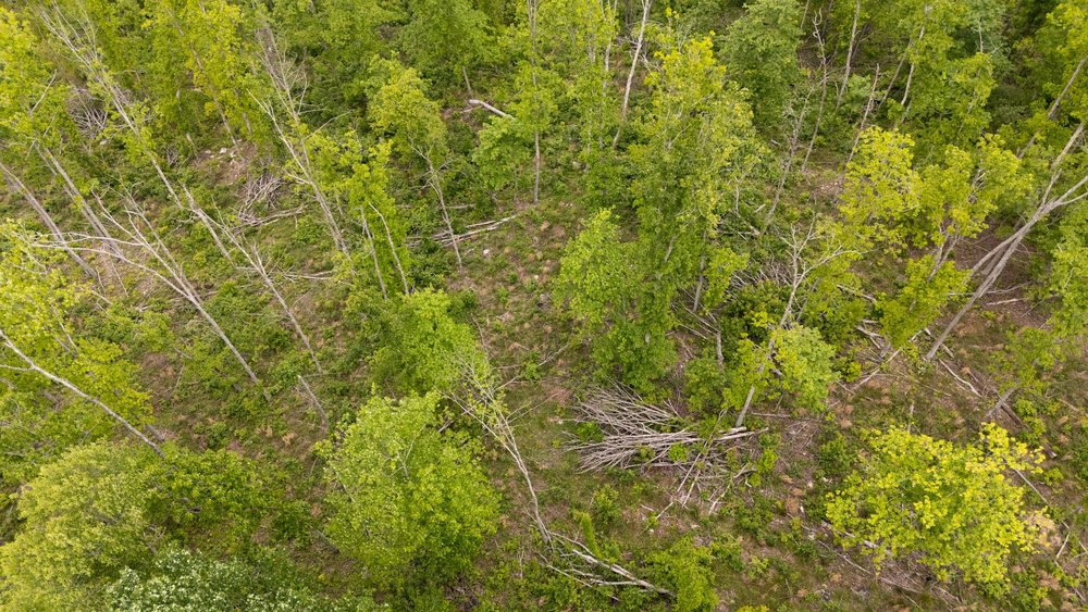 8.53 acre rural land tract for sale at Stardust Estates Tract 8 in Reynolds County, Missouri