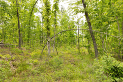 property photo for Stardust Estates Tract 9, 5.87 acres for sale in Reynolds County, Missouri