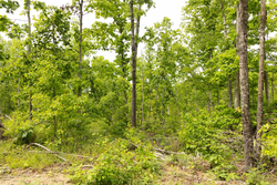 property photo for Stardust Estates Tract 9, 5.87 acres for sale in Reynolds County, Missouri