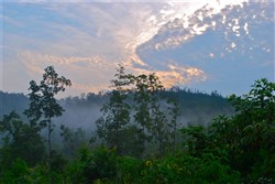 property photo for Blue Sky Ranch Tract 5, 26.21 acres for sale in Shannon County, Missouri