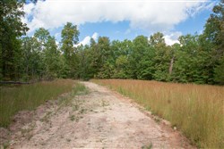 property photo for Blue Sky Ranch Tract 5, 26.21 acres for sale in Shannon County, Missouri