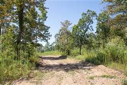 property photo for Borgmanns Hollow Phase III Tract 73, 18.09 acres for sale in Shannon County, Missouri