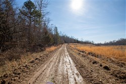 property photo for Oconnor Crossing Tract 23, 14.5 acres for sale in Shannon County, Missouri