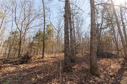 property photo for Oconnor Crossing Tract 23, 14.5 acres for sale in Shannon County, Missouri