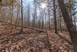 property photo for Oconnor Crossing Tract 23, 14.5 acres for sale in Shannon County, Missouri