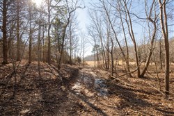 property photo for Oconnor Crossing Tract 23, 14.5 acres for sale in Shannon County, Missouri