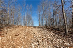 property photo for Oconnor Crossing Tract 28, 6.42 acres for sale in Shannon County, Missouri