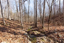 property photo for Oconnor Crossing Tract 28, 6.42 acres for sale in Shannon County, Missouri