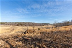 property photo for Oconnor Crossing Tract 28, 6.42 acres for sale in Shannon County, Missouri