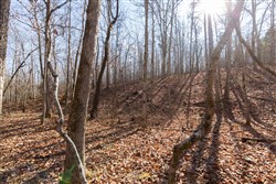 property photo for Oconnor Crossing Tract 28, 6.42 acres for sale in Shannon County, Missouri