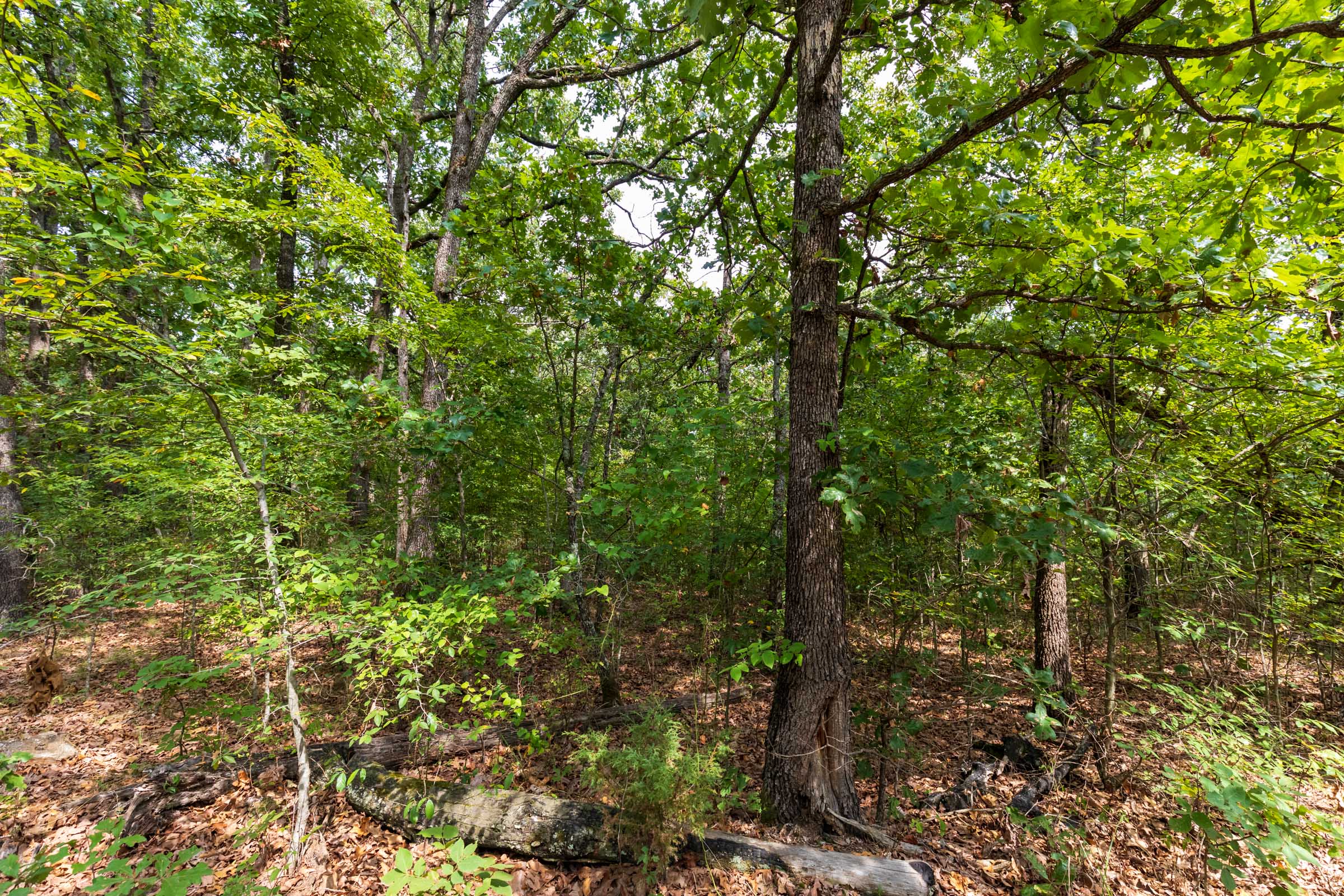 Tract 19 at Heritage Bend in Taney County, Missouri