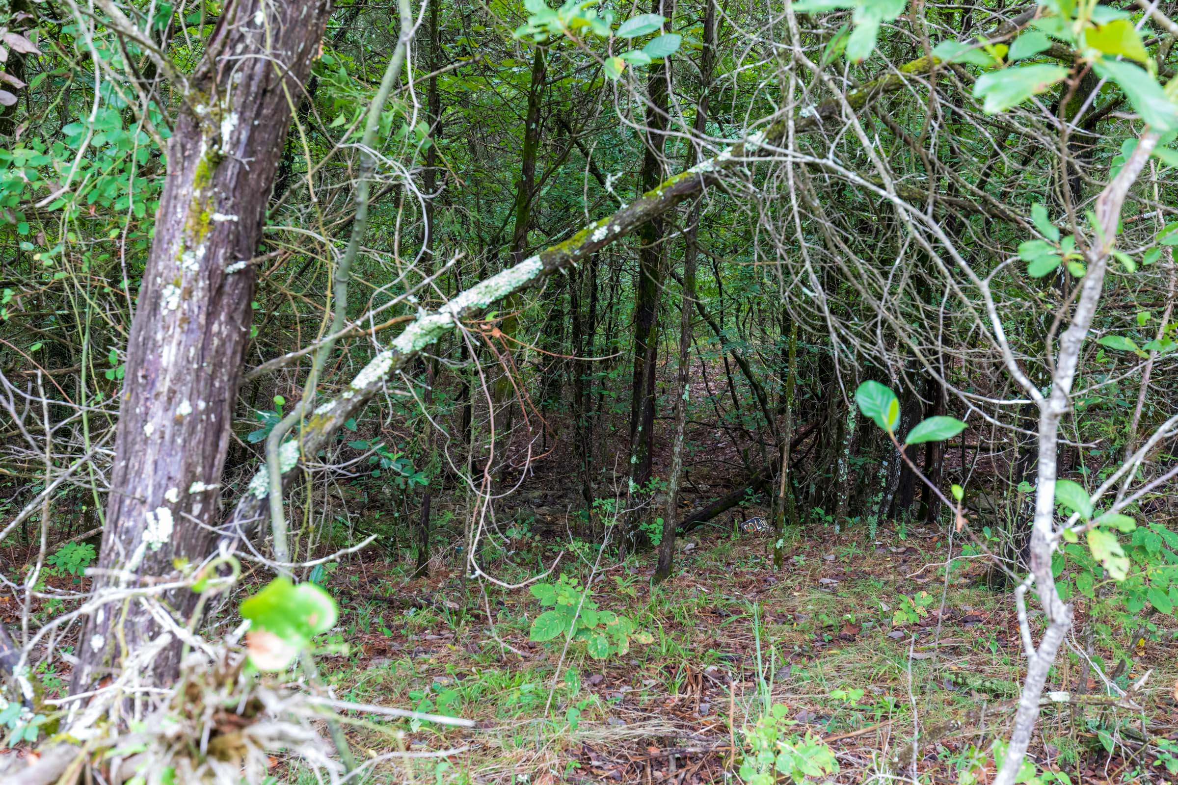 Tract 2 at Heritage Bend in Taney County, Missouri