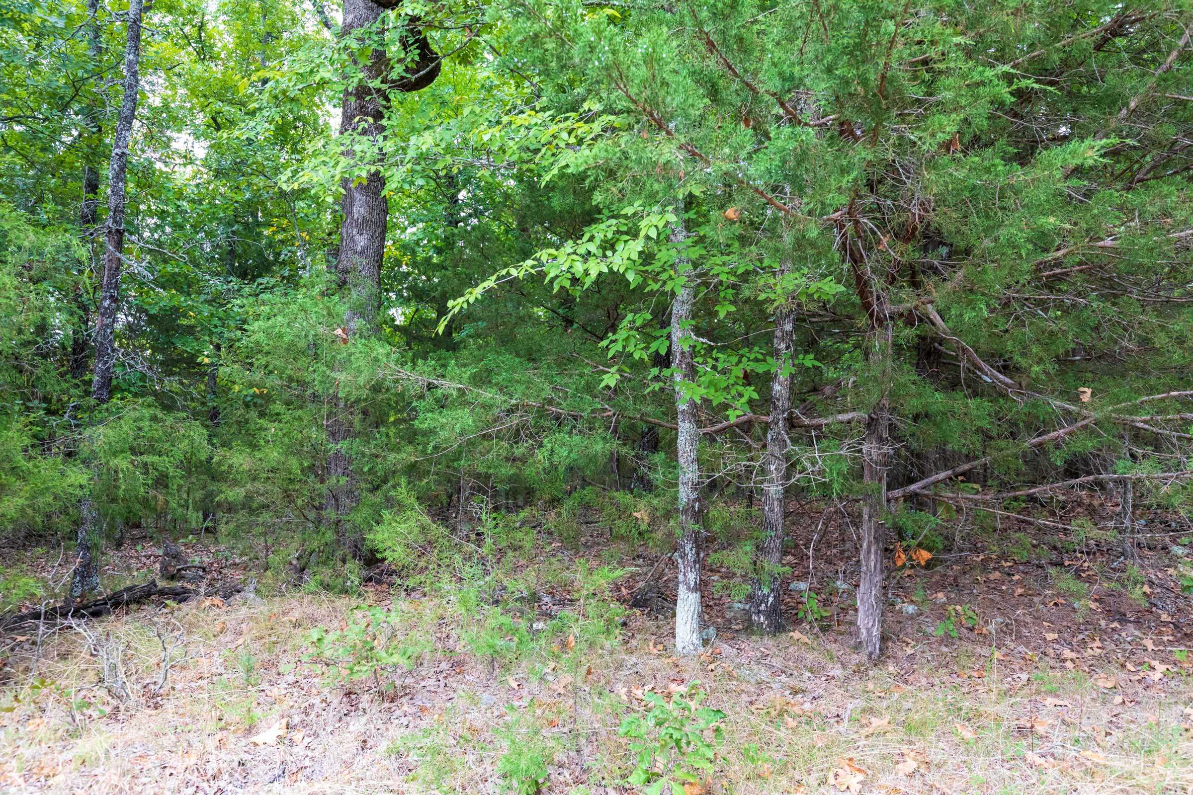 Tract 22 at Heritage Bend in Taney County, Missouri