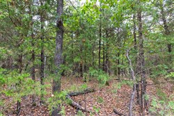 property photo for Heritage Bend Tract 23, 16.09 acres for sale in Taney County, Missouri