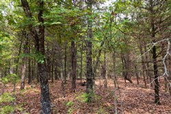 property photo for Heritage Bend Tract 23, 16.09 acres for sale in Taney County, Missouri