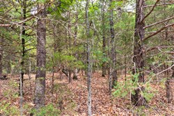 property photo for Heritage Bend Tract 23, 16.09 acres for sale in Taney County, Missouri