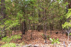 property photo for Heritage Bend Tract 23, 16.09 acres for sale in Taney County, Missouri