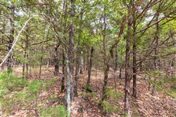 property photo for Heritage Bend Tract 23, 16.09 acres for sale in Taney County, Missouri